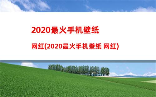020最火手机壁纸网红(2020最火手机壁纸